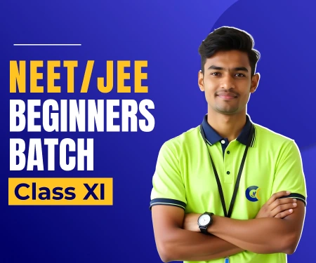 Beginner batch image